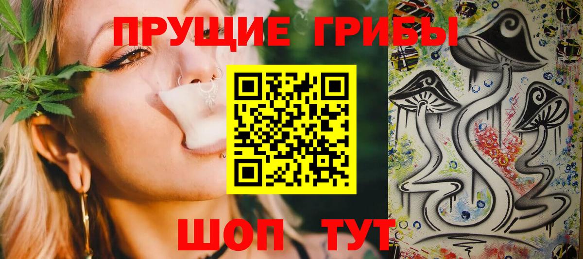 Галлюциногенные грибы Cubensis Искитим