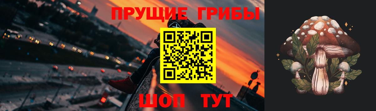 Галлюциногенные грибы GOLDEN TEACHER  Вход с VPN  Искитим 